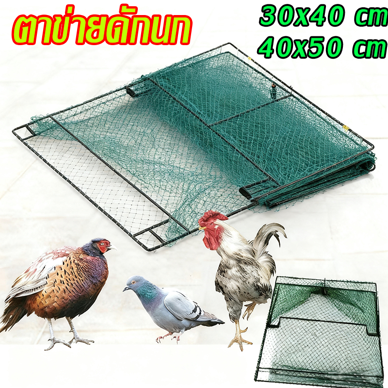 กับดักนกและไก่ กับดักไก่แบบตาข่าย ตาข่ายดักนก ที่ดักไก่ ที่ดักจับสัตว์ จับสัตว์ปีก กับดักตาข่าย