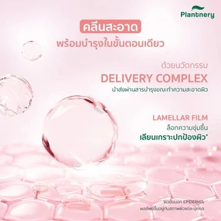 [ส่งฟรี] Plantnery Cleansing Balm (Rice Ceramide / Bamboo Charcoal/Rose Collagen ) แพลนท์เนอรี่ คลีนซิ่ง บาล์ม 60 g.