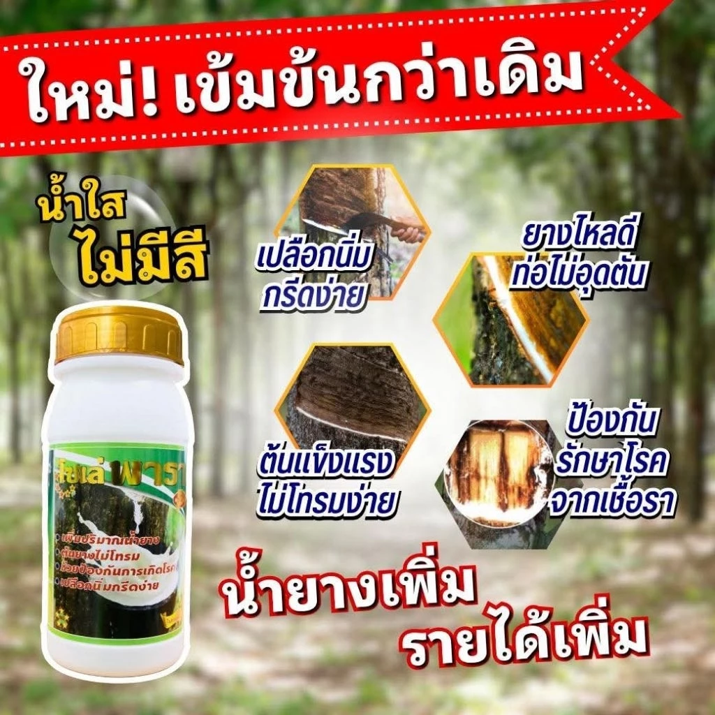 โซเล่พารา ฝาทอง รุ่นใหม่เพิ่มน้ำยาง กรีดง่าย ต้นไม่โทรม ขนาด500cc.