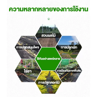 พลาสติกคลุมดิน ผ้าคลุมดิน พลาสติกคลุมหญ้า ฆ่าหญ้า 5เมตร 10เมตร คลุมวัชพืช ฆ่าวัชพืช ผ้าคลุมหญ้า