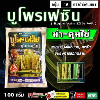 // 10 ซอง // บูโพรเฟซิน ( 100 กรัม ) ใช้ยับยั้งการลอกคราบของแมลง คุมไข่เพลี้ย เพลี้ยอ่อน แมลงปากดูด