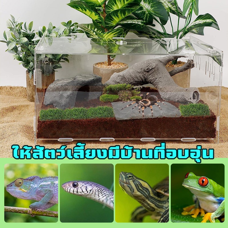 กล่องอะคริลิคใส กล่องแมลง กรงคริลิค มีเทอร์โมมิเตอร์ รูระบายอากาศรอบกล่อง สัตว์เลื้อยคลาน แบบประกอบ - รูปที่ 6