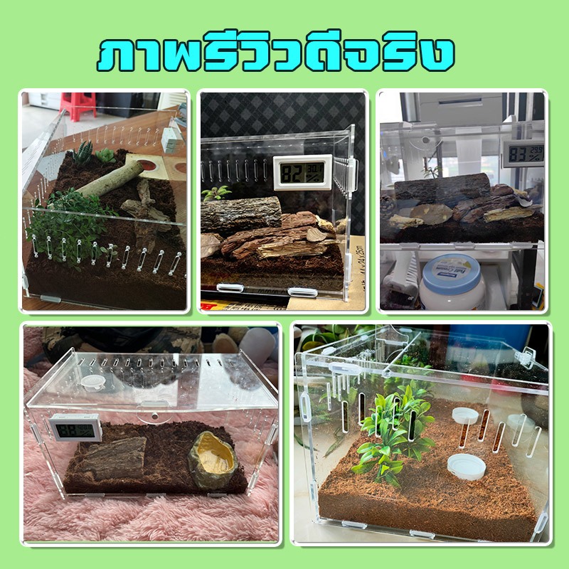 กล่องอะคริลิคใส กล่องแมลง กรงคริลิค มีเทอร์โมมิเตอร์ รูระบายอากาศรอบกล่อง สัตว์เลื้อยคลาน แบบประกอบ - รูปที่ 7