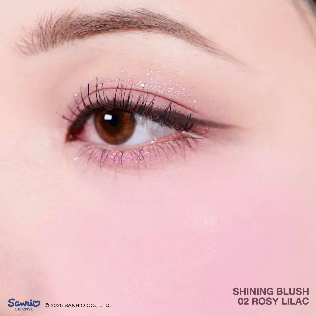 Charmiss Blooming Heart Shining Blush 4g บลัชโมจิ ติดทน thumbnail 8