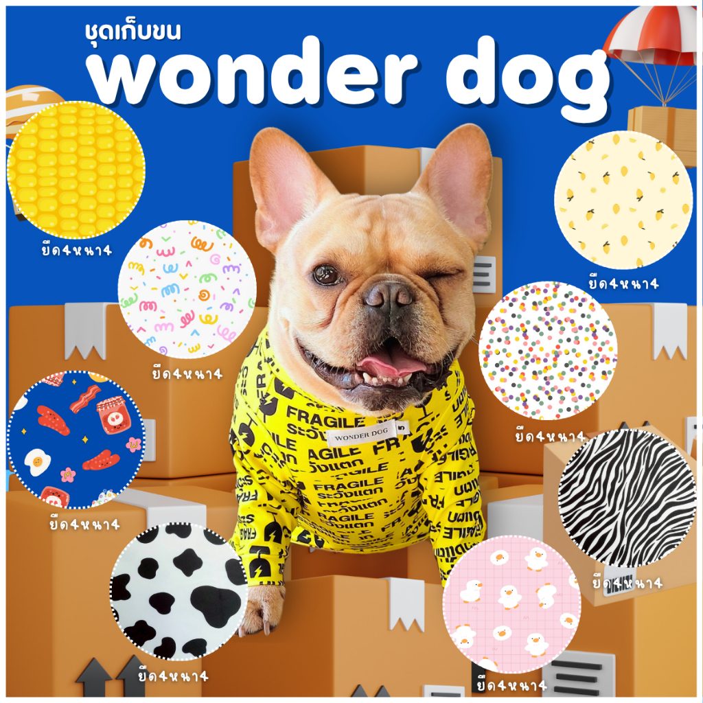 ชุดเก็บขน wonder dog เสื้อหมาเสื้อแมว ลายการ์ตูน ระวังแตก