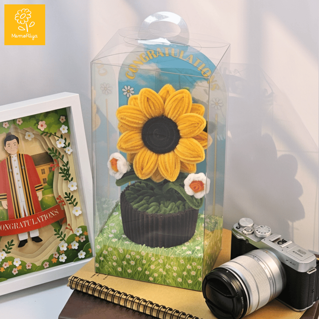 กระถางดอกไม้กำมะหยี่ ของขวัญรับปริญญา พร้อมกล่องใส+ข้อความอวยพรสั่งพิมพ์ได้ | Handmade pipe cleaners