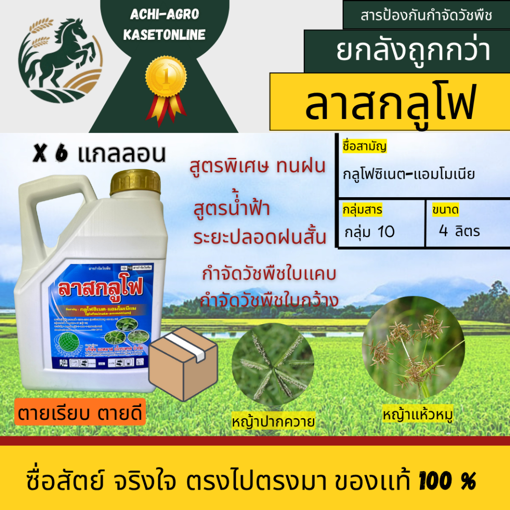 ยกลัง 4 แกลลอน ลาสกลูโฟ(กลูโฟซิเนต แอมโมเนียม)ขนาด 4ลิตร สูตรทนฝนน้ำสีฟ้า ตายเรียบโดยเฉพาะหญ้าปากควาย