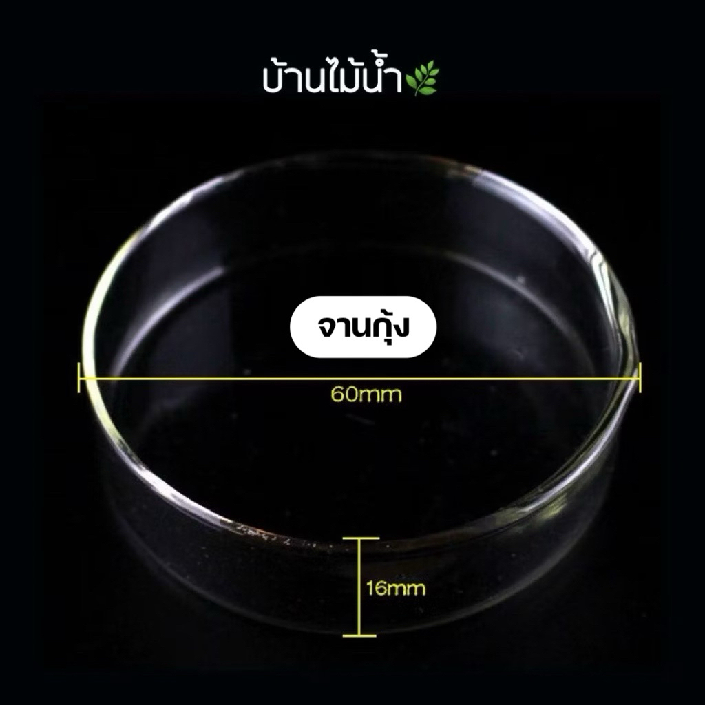 ท่อให้อาหารกุ้ง หลอดให้อาหารกุ้ง จานอาหารกุ้ง จานกุ้ง Shrimp Feeding Food Tube Suction Cup | บ้านไม้น้ำ🌿 - รูปที่ 2