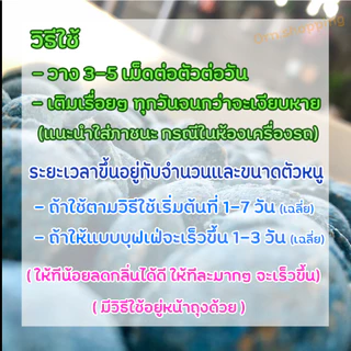 เหยื่อกำจัดหนู เร่งด่วน 1 วัน ง่ายดาย ซากแห้ง หนูหายไปอย่างเห็นได้ชัด เหยื่อล่อหนู โดยเฉลี่ยเริ่มต้น