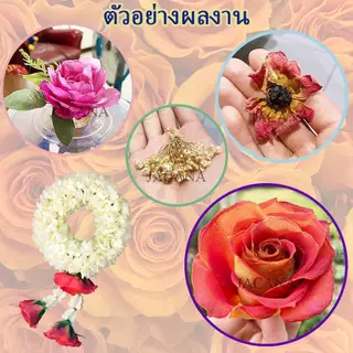 🌸ถูกที่สุด🌸 ซิลิก้าทราย 2 กิโล. สำหรับทำดอกไม้แห้ง มาลัยบ่าวสาว Silica gel สารกันชื้น ซองกันชื้น