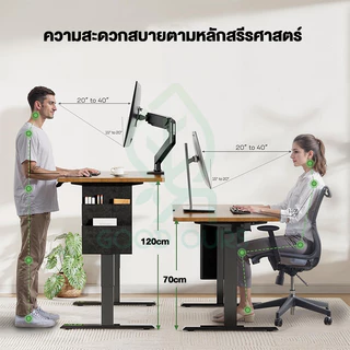 G&O Single Motor โต๊ะปรับระดับไฟฟ้า 140*60*71-118CM โต๊ะคอม การยกด้วยกระบวนการไฟฟ้า ไม่มีเสียงรบกวน