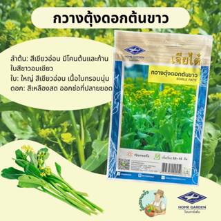 กวางตุ้งดอก ต้นขาว CT/OP-003 ผักซอง เจียไต๋ กวางตุ้ง เมล็ดพั…