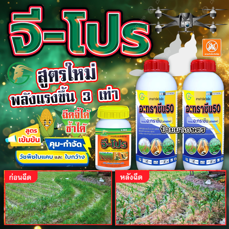 จีโปร (ชุดใหญ่ ใช้ได้ 7 ไร่) กำจัดวัชพืชในไร่ข้าวโพด ใช้เหมือนคลีโอโปร สามารถฉีดทับข้าวโพดได้เลย