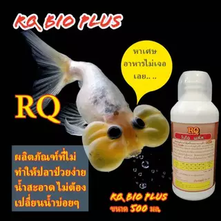 ผลิตภัณฑ์แบคทีเรียในรูปแบบของเหลว อาร์คิว ไบโอ พลัส RQ Bio Plus ขนาด 500 มล. ฝาสีขาว สำหรับปลาสวยงามน้ำจืดและน้ำทะเล