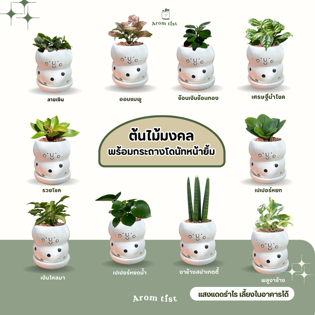 ต้นไม้มงคลพร้อมกระถางโดนัทยิ้มAROMTIST