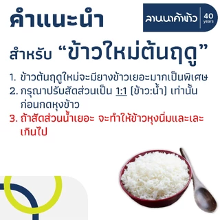 ข้าวไดโนเสาร์​ (10kg) ข้าวหอมมะลิ 100% (ใหม่ต้นฤดู/เก่า/ข้าวกล้อง) 5กก.x2ถุง
