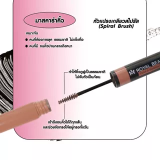 ดินสอเขียนคิ้ว + มาสคาร่าคิ้ว รอยัล บิวตี้ RoyalBeauty