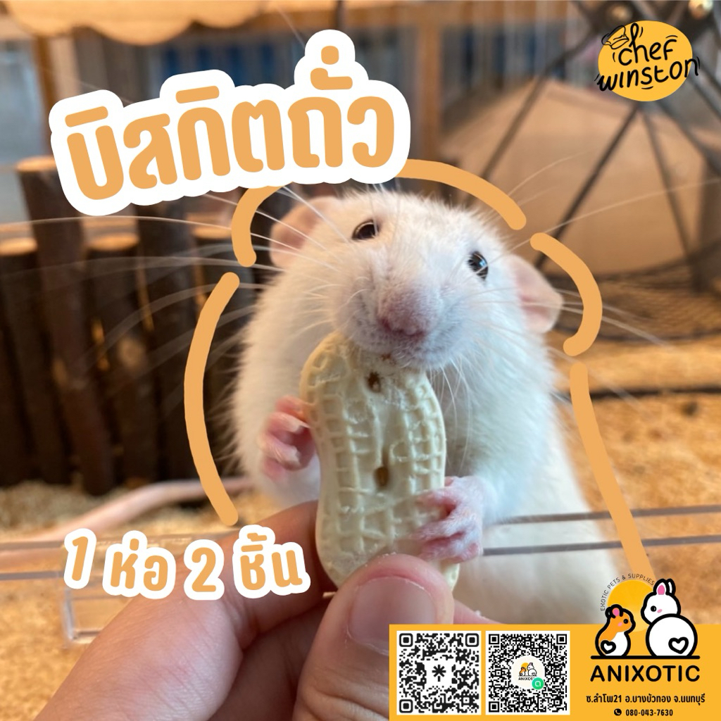 Chef Winston [บิสกิตถั่ว] ขนมสัตว์เลี้ยง ขนมแฮมสเตอร์