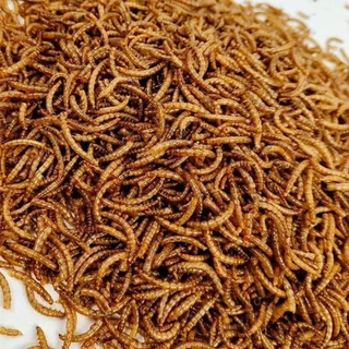 หนอนนกอบแห้ง(ขนาดแบ่งขาย)Dried Mealworms50กรัม /100 กรัม เหมาะสำหรับสัตว์เลี้ยงเช่น ชูก้า เม่นแคระ หนูแฮมเตอร์