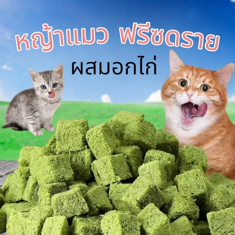 MI ขนมหญ้าแมว ฟรีซดราย ผลิตจากต้นอ่อนข้าวสาลี ผสมอกไก่ Catnip