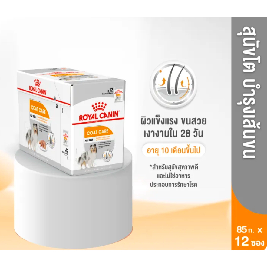 [ยกกล่อง 12 ซอง] Royal Canin Coat Care Pouch Loaf โรยัล คานิน อาหารเปียกสุนัขโต ทุกขนาด บำรุงเส้นขน (โลฟ)