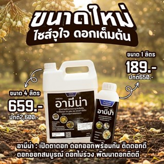 สาหร่ายเปิดตาดอก อามีน่า 4ลิตร เปิดตาดอก ดอกดก สาหร่ายอะมิโน…