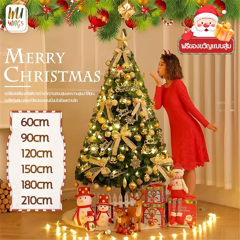 🎄ฟรีของขวัญแบบสุ่ม🎁ต้นคริสต์มาส ฐานเป็นเหล็ก 2ft/3ft/4ft/5ft/6ft/7ft กิ่งก้านและใบที่หนาแน่นที่สุด C