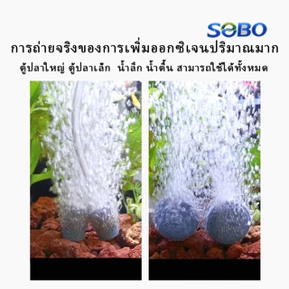ชุดปั๊มออกซิเจน SOBO AR10 ซีรี่ส์ เงียบ ประหยัดพลังงาน ปั๊มออกซิเจนตู้ปลา ปั๊มออกซิเจนบ่อปลา