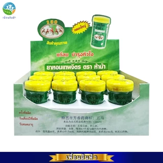 ยาหอมเทพจิตร ตราห้าม้า ขวดใหญ่ 100 เม็ด (ยกกล่อง12ขวด) กล่องเขียว