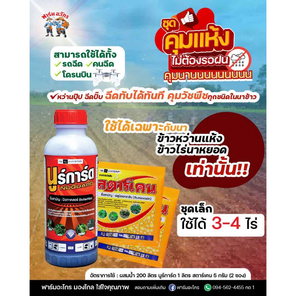 ชุดคุมหญ้าในนาข้าวหว่านแห้ง ไม่ต้องรอฝนหว่านปุ๊ปฉีดคุมได้ทันที