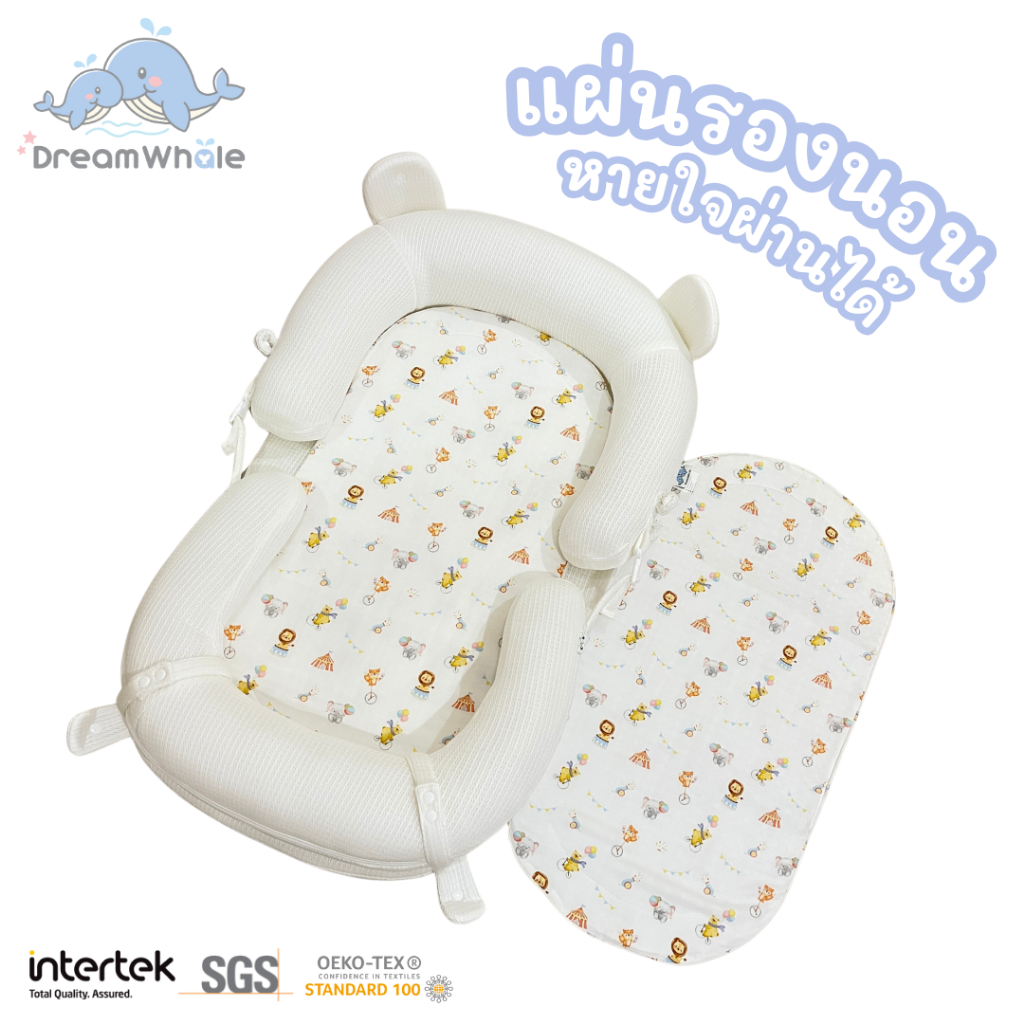 รูปภาพ 5