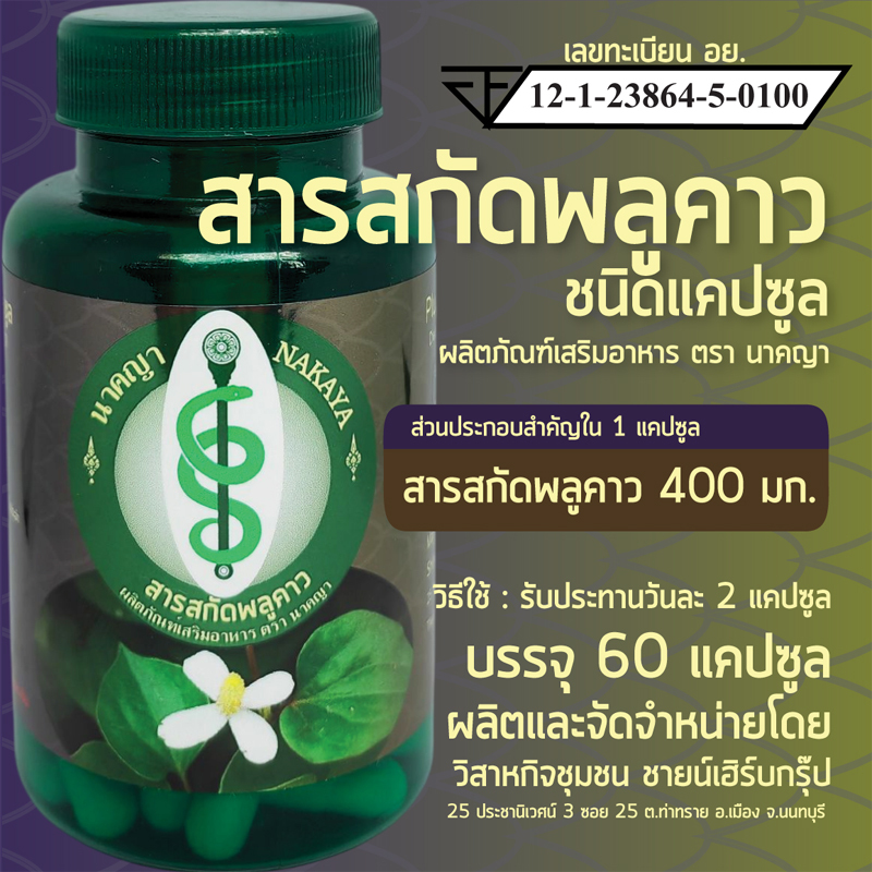 สารสกัดพลูคาว ชนิดแคปซูล ผลิตภัณฑ์เสริมอาหาร ตรา นาคญา