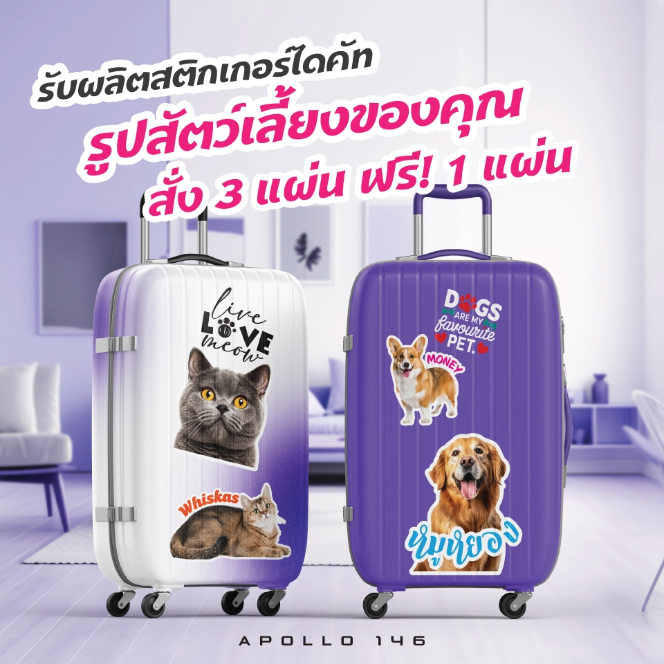สติกเกอร์ไดคัทรูปสัตว์เลี้ยงของคุณ ระบุชื่อ,ข้อความได้ ติดได้ทุกที่ สีสวย กันน้ำ ซื้อ 3 ฟรี 1 แผ่น