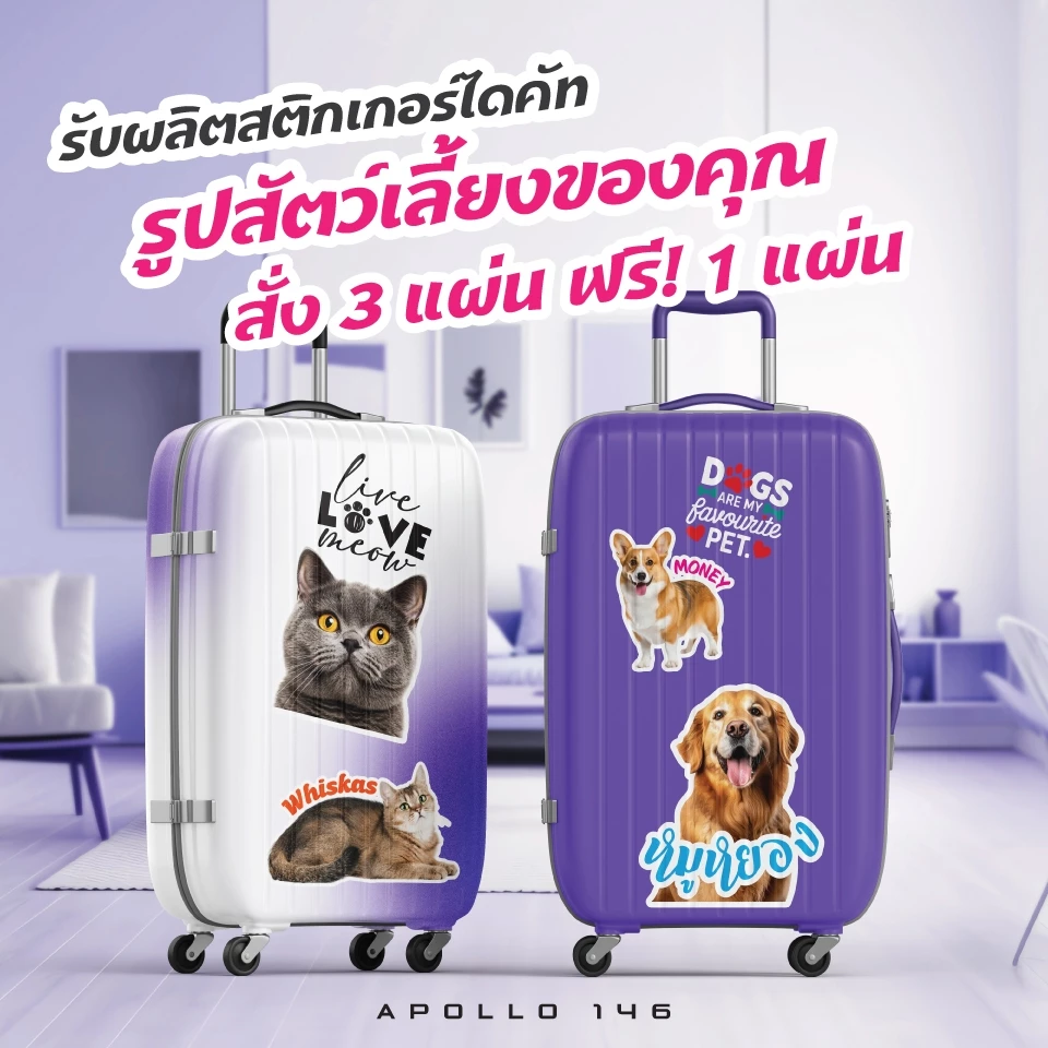 สติกเกอร์ไดคัทรูปสัตว์เลี้ยงของคุณ ระบุชื่อ,ข้อความได้ ติดได้ทุกที่ สีสวย กันน้ำ ซื้อ 3 ฟรี 1 แผ่น