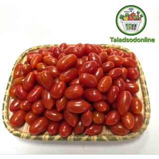 มะเขือเทศราชินี สด สะอาด รับประกันคุณภาพ