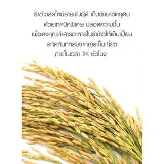 Ze-Oil Gold ขนาด 60 เม็ด ผลิตภัณฑ์เสริมอาหาร สารสกัดจากน้ำมันทั้งหมด 4 ชนิด