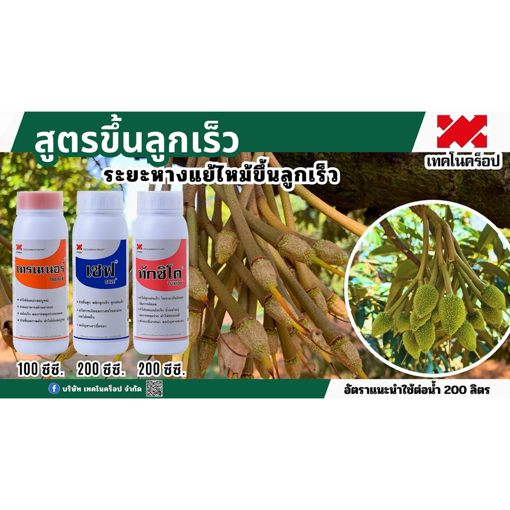 ทักซิโด เทคโนคร็อป ขนาด 1 ลิตร ข้้วผลเหนียว ลดการหลุดร่วง ช่วยการผสมเกสรได้ดี สร้างเปลือกหนา ลดปัญหาผลแตก ของแท้ 100% - รูปที่ 2