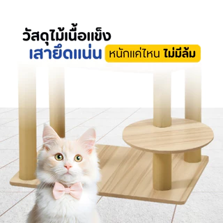 [ส่งไว/มีโค้ด] PetParadise คอนโดแมวไม้ รุ่นY36 สูง150cm แคปซูลนอนใส 1 หลุม พร้อมเปลนอน มินิมอล แข็งแรง