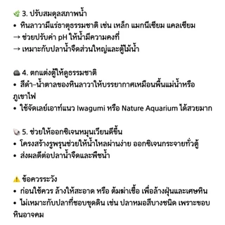 หินภูเขาไฟ ลาวาร็อค Lava Rock ตกแต่งตู้ปลา เพิ่มแบคทีเรียดี เพิ่มออกซิเจนในน้ำ