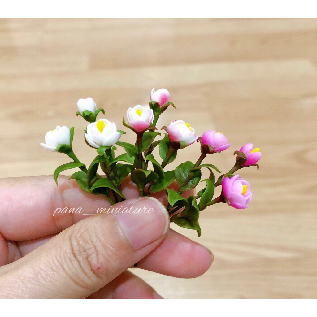 Magnolia ดอกไม้ดินปั้นจิ๋ว ราคา/ชิ้น