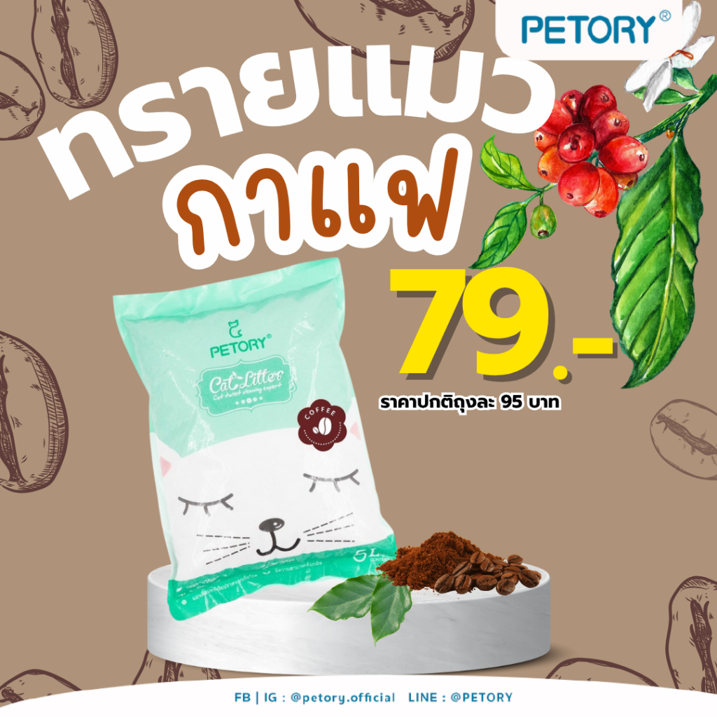ทรายแมวกลิ่นกาแฟ ขนาด 5 ลิตร ขายดี