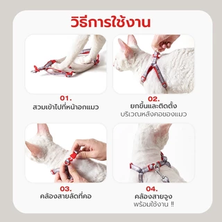 Petstar สายจูงแมว Cat Leash ปลอกคอแมว เซ็ตสายจูงแมว ปรับได้ 4 ระดับ ล็อคแน่น ใส่สบาย สายยาว 1.3 เมตร ไซส์ S/M
