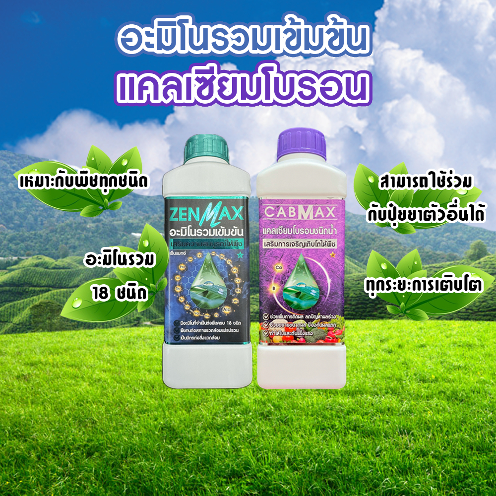 อะมิโนรวมเข้มข้น Zenmax + แคลเซียมโบรอน Cabmax เหมาะกับพืชทุกชนิด ทุกระยะการเติบโต 2 ลิตร