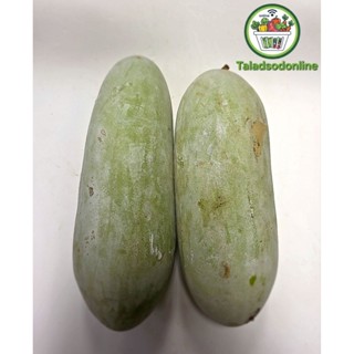 ฟักแก่ สด สะอาด รับประกันคุณภาพ