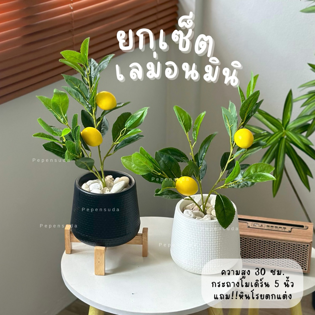 [ออกใบกำกับภาษีได้]  ต้นเลม่อนมินิมอล   พร้อมกระถางมินิมอลและหินโรย ต้นไม้ปลอมตกแต่งบ้าน – โปรปัง