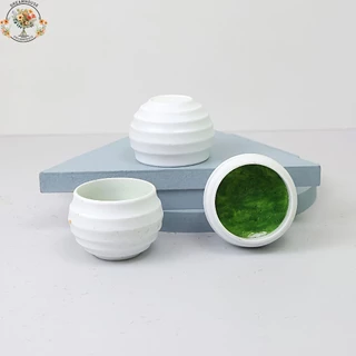 จําลองพืชอวบน้ํามินิบอนไซ รูปร่างเต็ม สีที่สมจริง การจำลองระดับสูง บอนไซสำนักงาน สีเขียวบรรเทาความเมื่อยล้า
