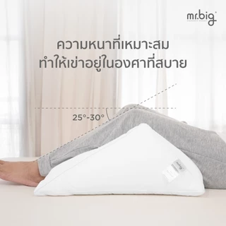 mr.big Knee Pillow หมอนรองเข่า สบายเข่าทั้งในท่านั่งและนอน