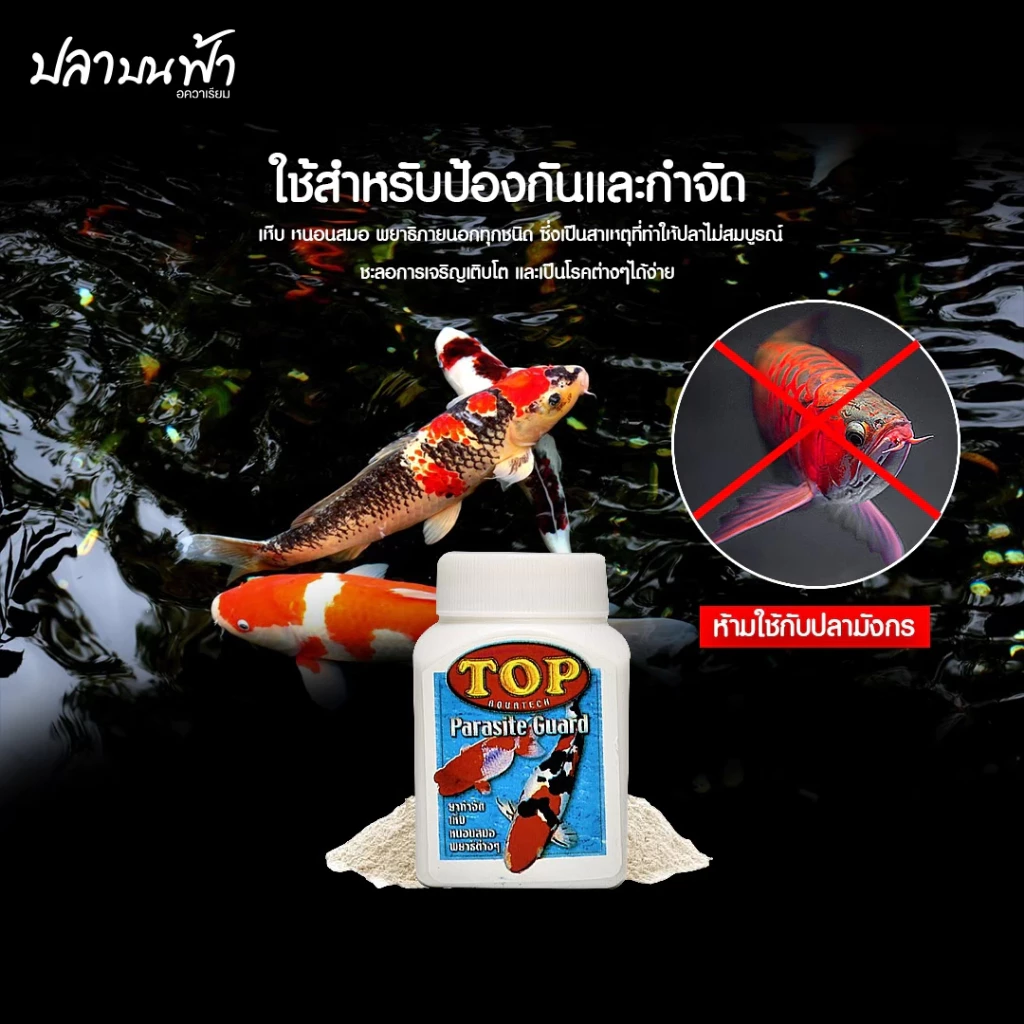 TOP PARASITE GUARD ผลิตภัณฑ์ควบคุมพยาธิภายนอกปลา สำหรับปลาสวยงาม ขนาด 50 กรัม thumbnail 6