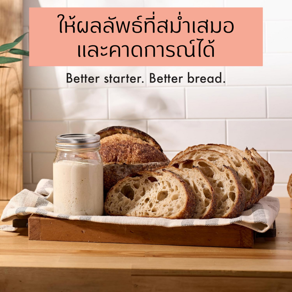 Brod & Taylor Sourdough Home เครื่องควบคุมอุณหภูมิ สำหรับ Starter ขนมปัง แบรนด์ดังชาว Dough จาก USA รับประกัน 2 ปี ราคา ถูกที่สุด ดีลบีเคเค แกลเลอรีภาพที่ 6