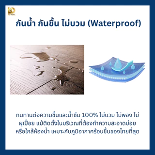 Building Pro ไม้บัวมอบ บัวเชิงผนัง หน้ากว้าง 4.2cm x หนา0.7cm คิ้วบัวติดผนัง ไม้บัวกันน้ำ คิ้วบัวติดฝ้า